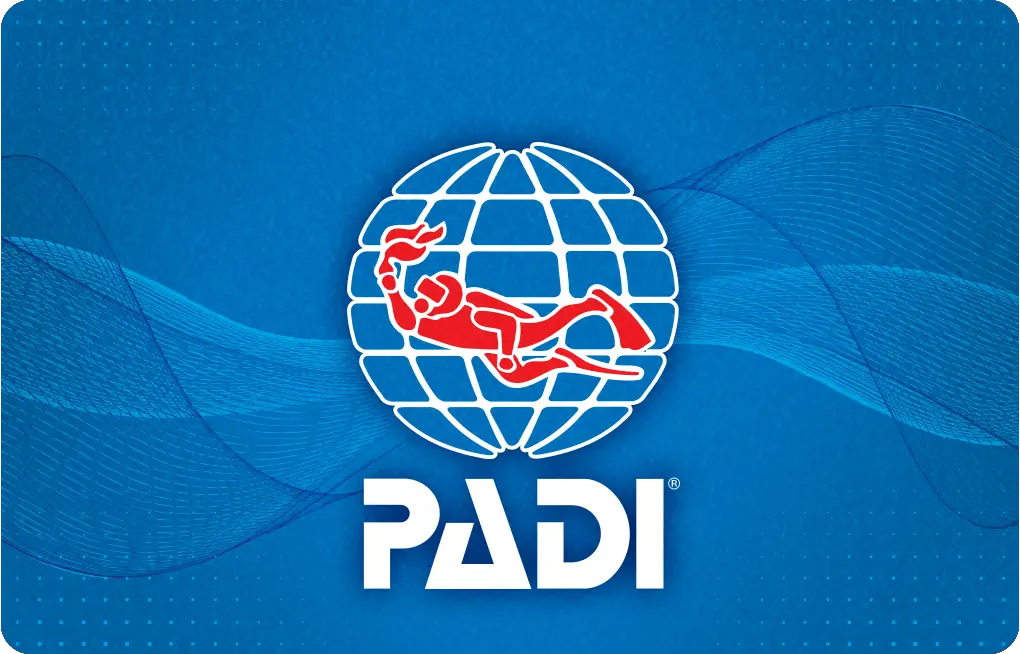 Paros Certified Padi Diving Center - Paros Elite